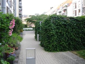 Christianshavn20100712_37